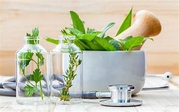 Naturopathic Practitioner Program